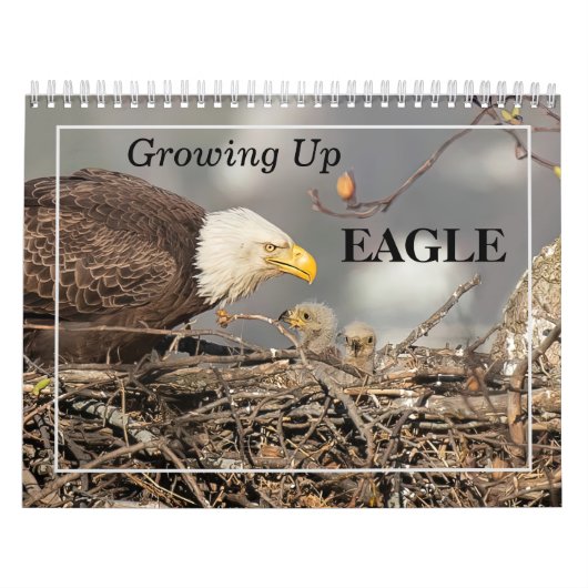 EAGLEカレンダー カレンダー (カバー)