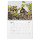 EAGLEカレンダー カレンダー (2月 2026)