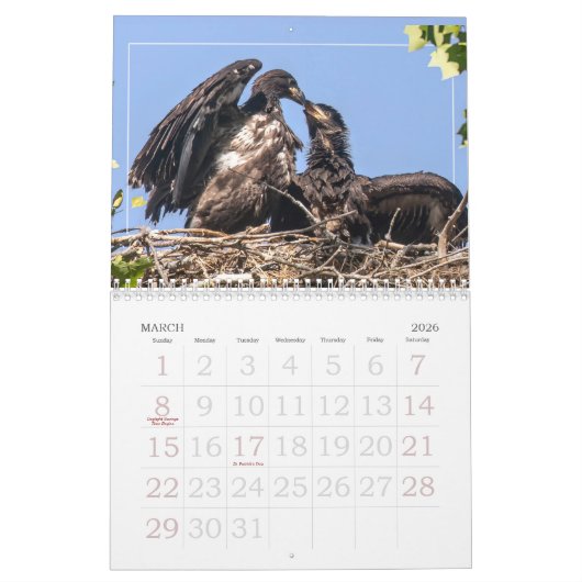 EAGLEカレンダー カレンダー (3月 2026)