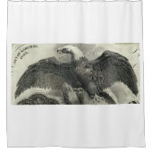 Eagle シャワーカーテン (正面)