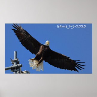 Eagle ポスター