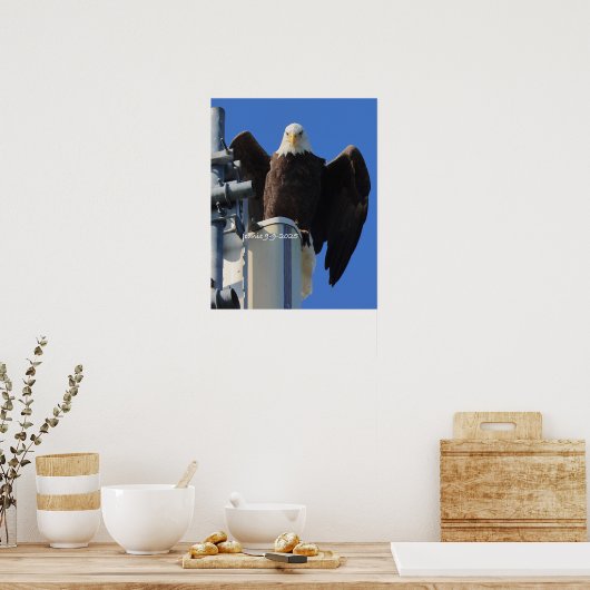 Eagle ポスター (キッチン)