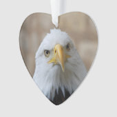 Eagle_2015_0201 オーナメント (正面)