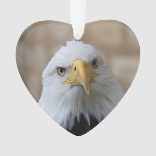 Eagle_2015_0201 オーナメント (正面)