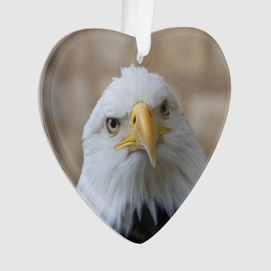 Eagle_2015_0201 オーナメント (正面)