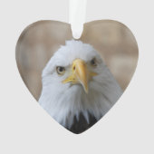 Eagle_2015_0201 オーナメント (裏面)