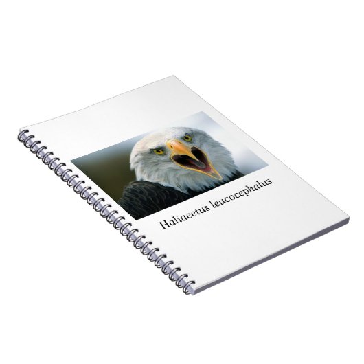Eagle#2 ノートブック (右側)