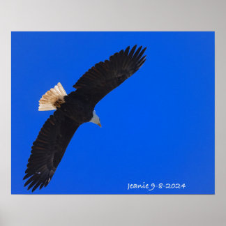 Eagle against a blue sky ポスター