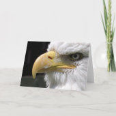 EAGLE BIRD OF PREY カード (正面)
