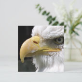 EAGLE BIRD OF PREY カード (スタンド正面)