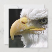 EAGLE BIRD OF PREY カード (正面)