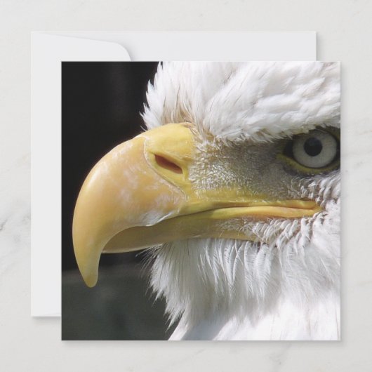 EAGLE BIRD OF PREY カード (正面)