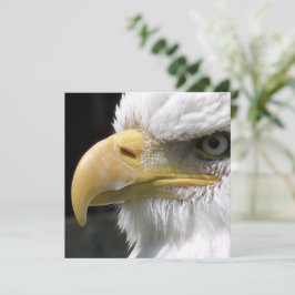 EAGLE BIRD OF PREY カード