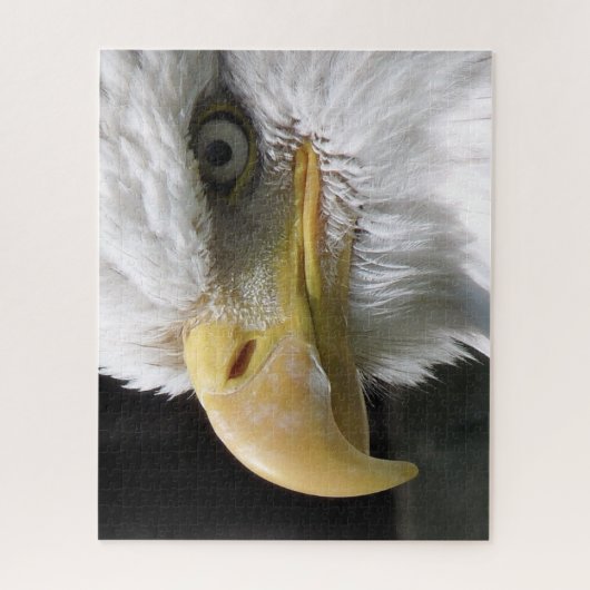 EAGLE BIRD OF PREY ジグソーパズル (縦)