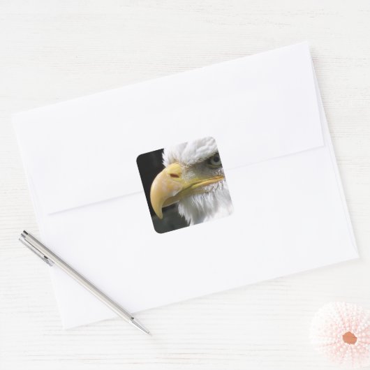 EAGLE BIRD OF PREY  スクエアシール (封筒)