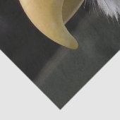 EAGLE BIRD OF PREY   薄葉紙 (詳細)