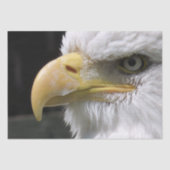 EAGLE BIRD OF PREY   薄葉紙 (正面)