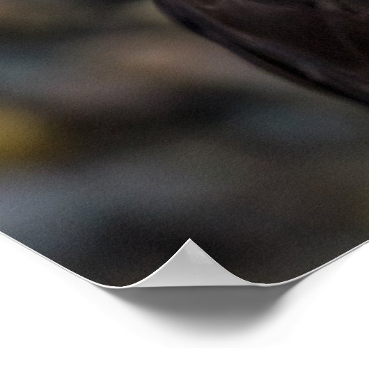 Eagle Eternal Vigilance Liberty Quote ポスター (角)