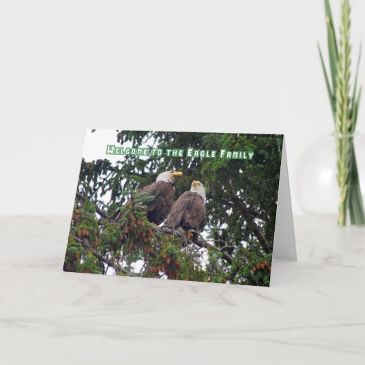 Eagle Familyへようこそ、Bald Eagles Card カード (正面)