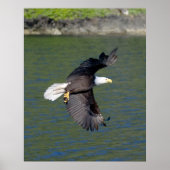 EAGLE FLIGHT ポスター (正面)