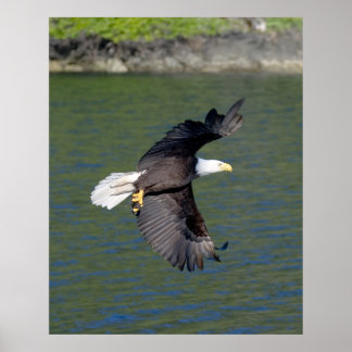 EAGLE FLIGHT ポスター