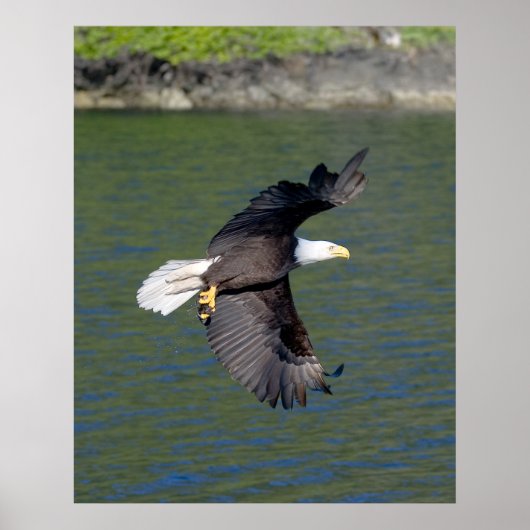 EAGLE FLIGHT ポスター (正面)