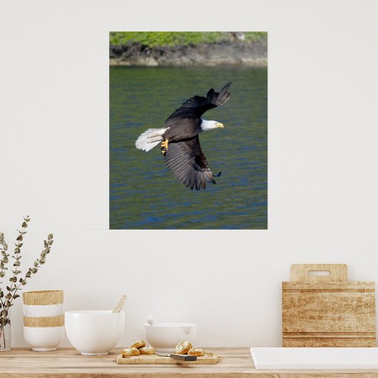 EAGLE FLIGHT ポスター (キッチン)