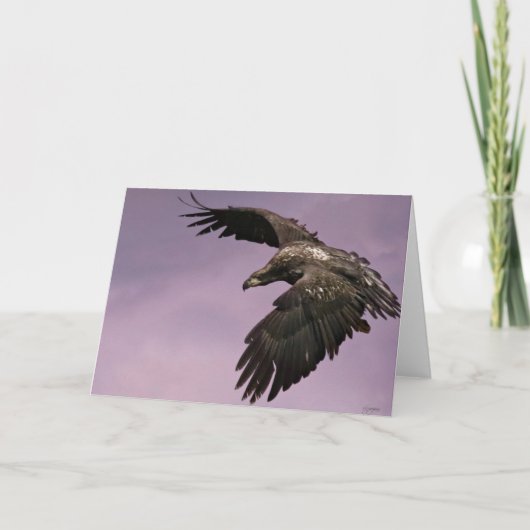 Eagle in Flight Greeting Card カード (正面)