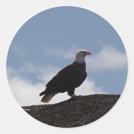 Eagle on High Groundスタンプ ラウンドシール (正面)