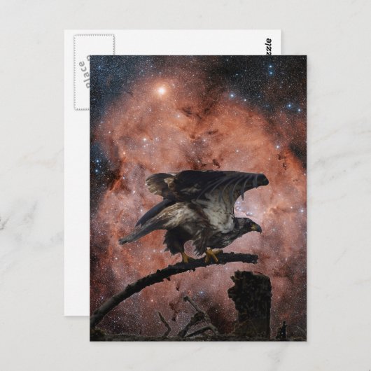 Eagle & Outer Spaceギフト ポストカード (正面/裏面)