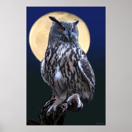 Eagle Owl Water Color Poster -24x36またはそれ以下 ポスター (正面)
