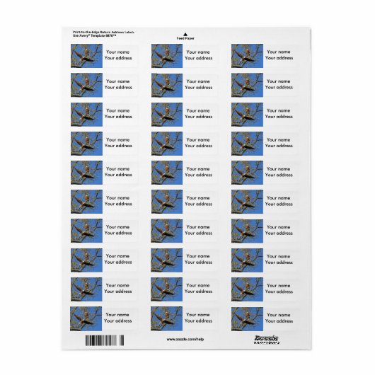 Eagle Pair With Your Address ラベル (フルシート)