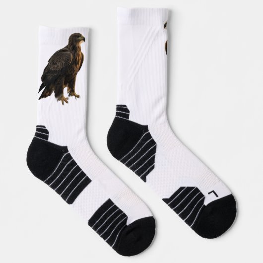 Eagle Socks ソックス (右)