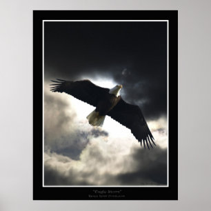 "Eagle Storm"  Poster ポスター