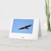 Eagle Wings Cardで カード (裏面)