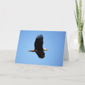 Eagle Wings Cardで カード (正面)
