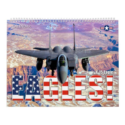 EAGLES! - F-15 イーグル カレンダー (カバー)