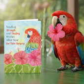 Ear Tube Surgery Healing Scarlet Macaws, Hibiscus カード