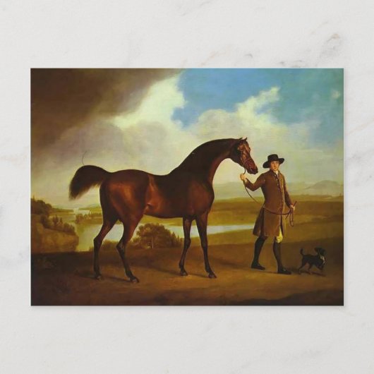 Earl Grosvenor's Bandy by George Stubbs ポストカード (正面)