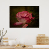 Early Evening Rose ポスター (キッチン)