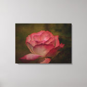 Early Evening Rose Stretch Canvas Print キャンバスプリント (正面)