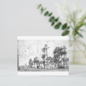 Early years, Mount Dora, FL ポストカード (スタンド正面)