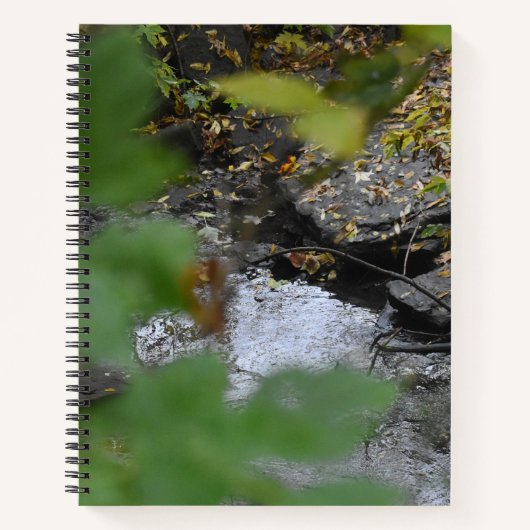 Earthの拡張機能スパイラルノートブック ノートブック (正面)