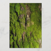 Earth Day Celebration, Editable Text (正面)