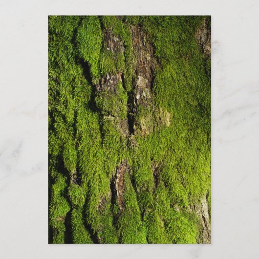 Earth Day Celebration, Editable Text (正面)