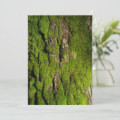 Earth Day Celebration, Editable Text (スタンド正面)