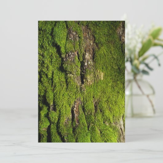 Earth Day Celebration, Editable Text (スタンド正面)