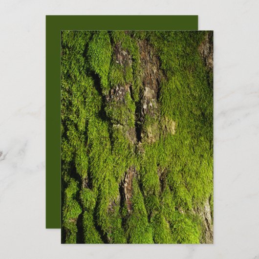 Earth Day Celebration, Editable Text (正面/裏面)