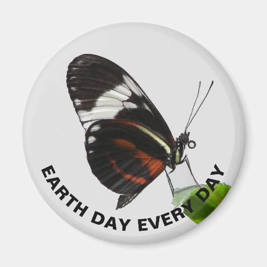 Earth Day Every Day Tiger Longwing Butterfly写真 マグネット (正面)