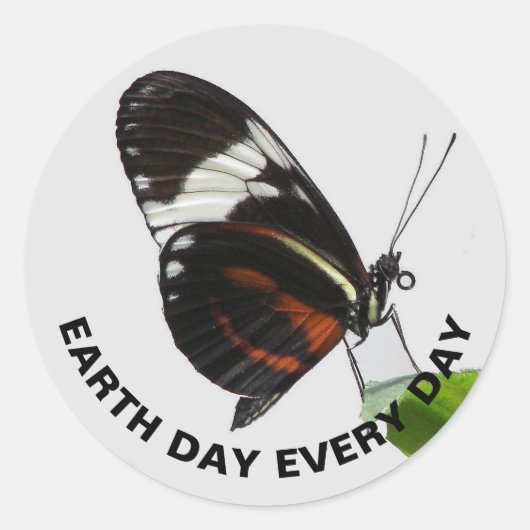 Earth Day Every Day Tiger Longwing Butterfly写真 ラウンドシール (正面)